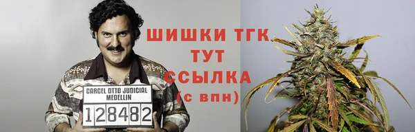 ГАЛЛЮЦИНОГЕННЫЕ ГРИБЫ Протвино