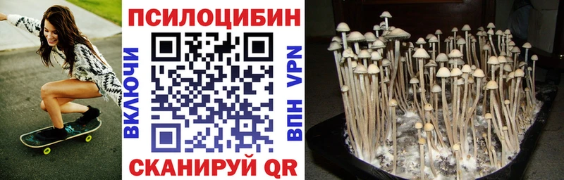 Купить  Катав-Ивановск  Галлюциногенные грибы прущие грибы 